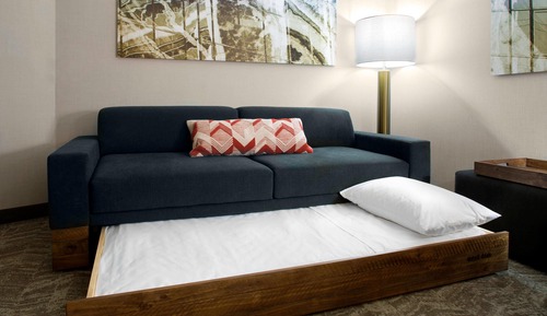 Suite, varias camas (Mobility/Hearing Access, Roll-in Shwr)