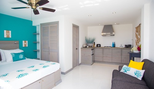 Suite estudio Deluxe, 1 cama de matrimonio, cocina, vistas a la montaña (Seahorse)