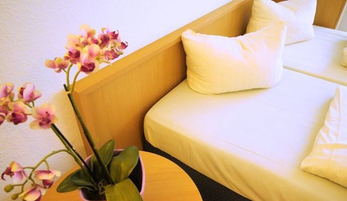 Apartamento, 1 habitación, cocina básica