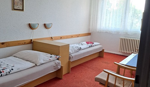 Habitación básica con 1 cama doble o 2 individuales