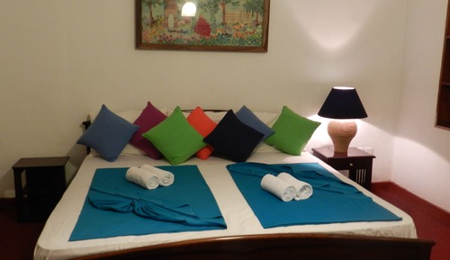 Habitación estándar, vistas al jardín