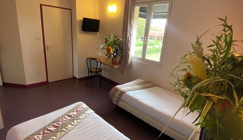 Habitación individual estándar