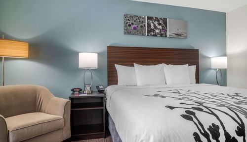 Suite, 1 cama de matrimonio grande, no fumadores