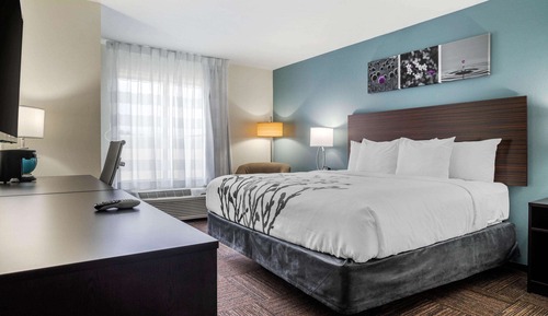 Habitación estándar, 1 cama de matrimonio grande, no fumadores