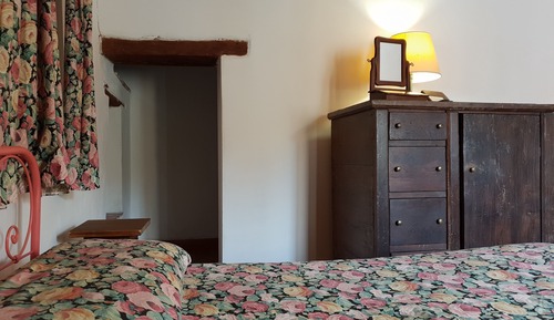 Habitación clásica con 1 cama doble o 2 individuales, vistas al jardín