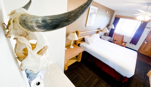 Suite estándar, 1 cama de matrimonio grande
