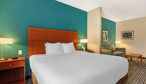 Suite, 1 cama de matrimonio grande, no fumadores, frigorífico y microondas (with Sofabed)