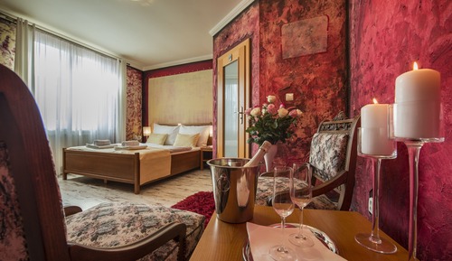 Habitación doble, vistas al jardín