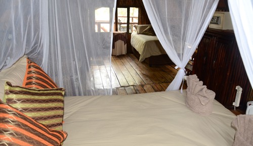 Teak 1 (Standard Tree House)