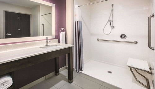 Habitación ejecutiva, 1 cama de matrimonio grande, no fumadores (Roll-In Shower)