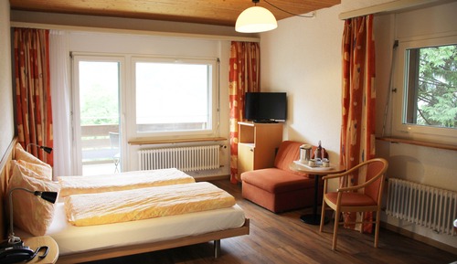 Habitación Deluxe con 2 camas individuales, balcón, vistas a la montaña