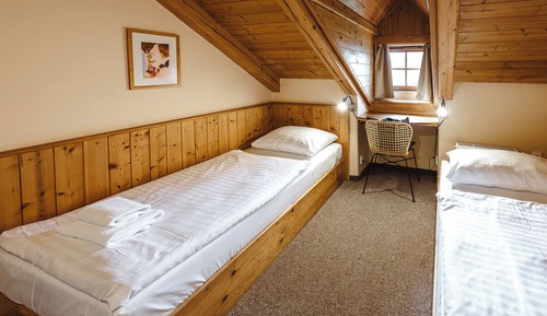 Habitación económica con 2 camas individuales