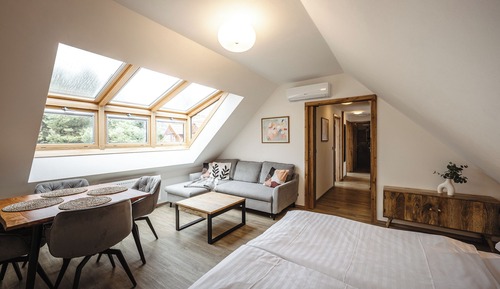 Premium Family Suite with Kitchenette