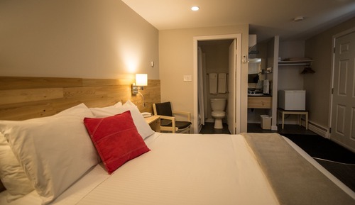 Habitación estándar, 1 cama de matrimonio grande