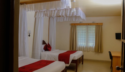 Habitación ejecutiva doble, vistas al jardín