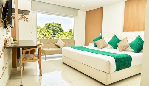 Habitación individual estándar, 1 cama de matrimonio grande, no fumadores