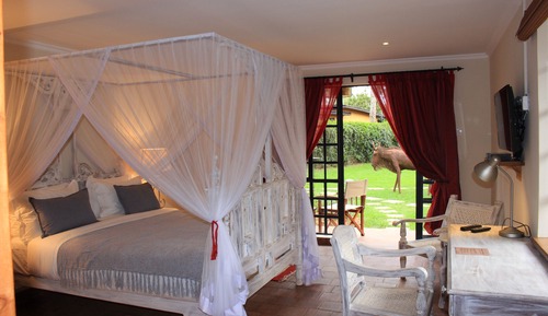 Habitación de lujo doble