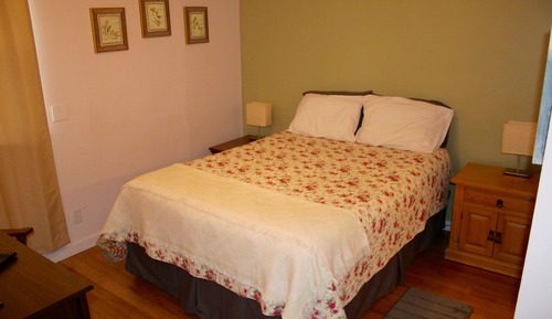 Suite Deluxe, 1 habitación