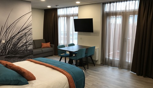 Suite estudio Deluxe (Apartment)