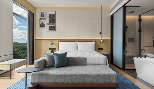 Room, 1 King Bed, City View