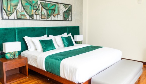 Deluxe Double Room, Mountain View