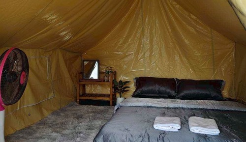 Basic Tent