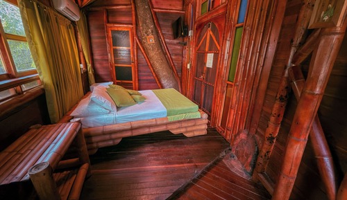 Casa en un árbol
