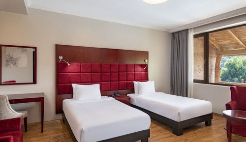 Habitación estándar con 2 camas individuales