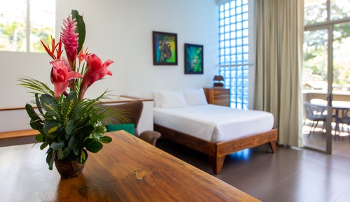 Suite estudio familiar