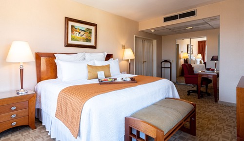 Habitación Deluxe, 1 cama de matrimonio grande