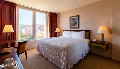 Habitación estándar, 1 cama de matrimonio grande