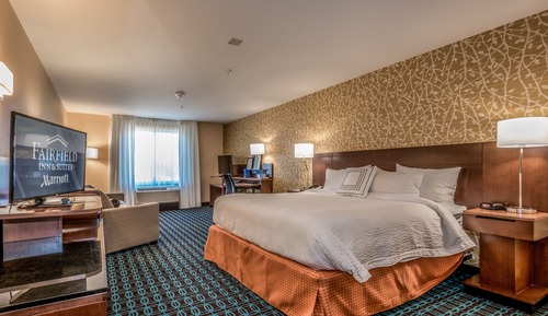 Suite, 1 cama de matrimonio grande con sofá cama