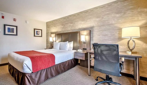 Habitación estándar, 1 cama de matrimonio grande