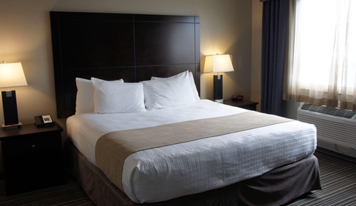 Habitación estándar, 1 cama de matrimonio grande, no fumadores, frigorífico y microondas