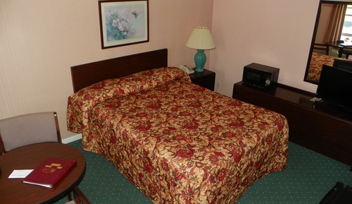 Habitación, 1 cama de matrimonio