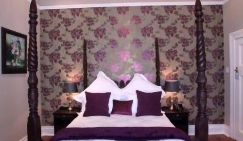 Habitación (The Purple Room)