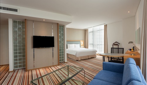 Habitación estándar, 1 cama de matrimonio grande (Extra Floor Space)