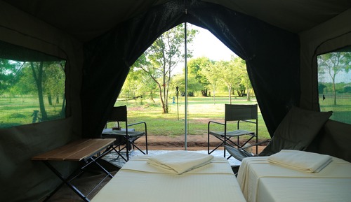 Family Glamping bordering Yala with a Guided Safari