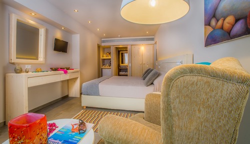 Habitación Deluxe con 1 cama doble o 2 individuales, vistas al jardín