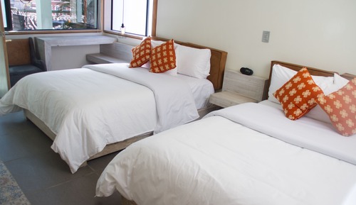 Habitación estándar, 2 camas dobles