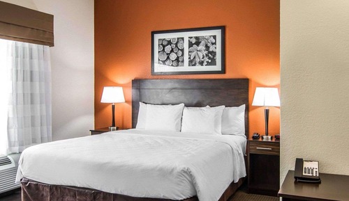 Suite, 1 cama de matrimonio grande