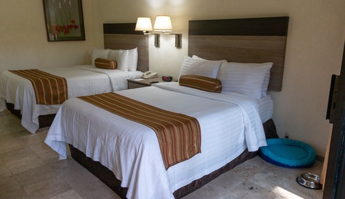 Habitación estándar, 1 cama doble (Dog Friendly)