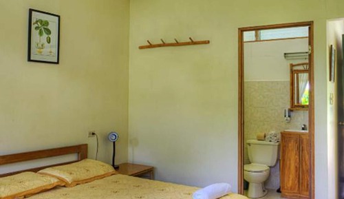 Habitación estándar con 1 cama doble o 2 individuales, vistas al jardín