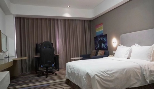Habitación estándar, 1 cama de matrimonio (High Speed WiFi)