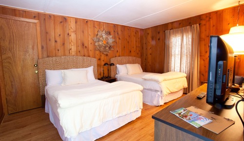 Habitación estándar, 2 camas dobles