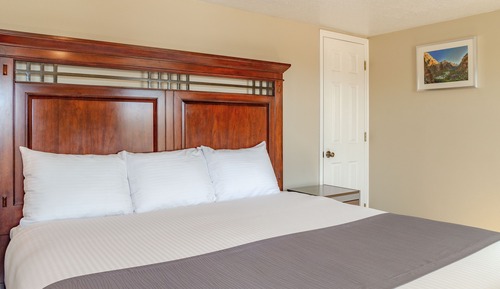 Suite estándar, 1 cama de matrimonio grande (Mini)