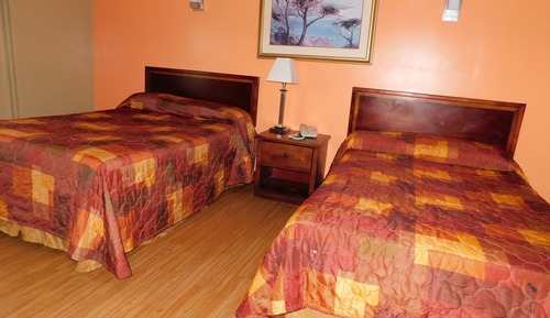 Habitación estándar doble, 2 camas dobles