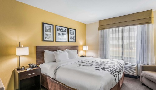Suite, 1 cama de matrimonio grande con sofá cama