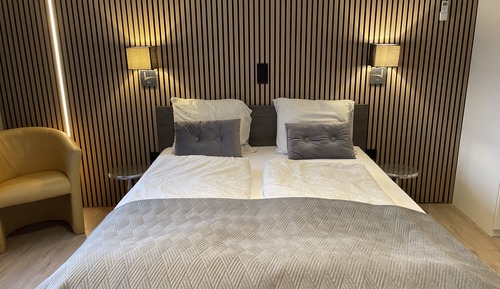 Estudio estándar, 1 habitación