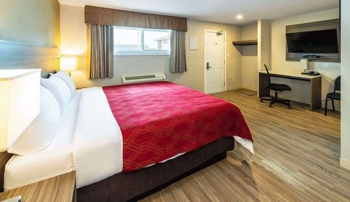Efficiency, Habitación, 1 cama de matrimonio grande, no fumadores